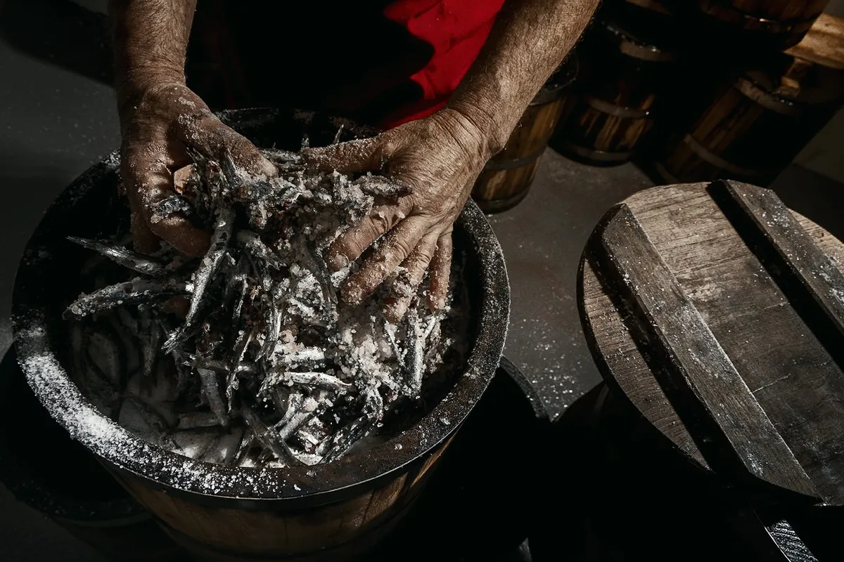 엔초비 가공 과정